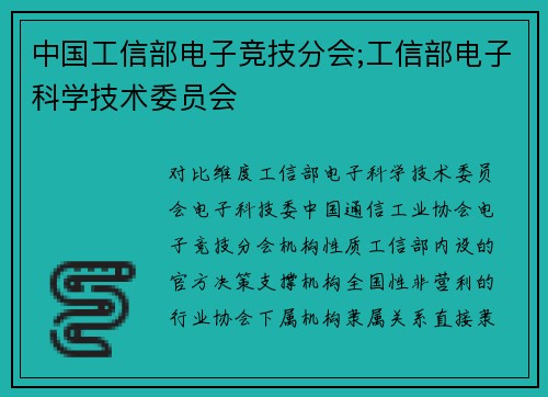 中国工信部电子竞技分会;工信部电子科学技术委员会